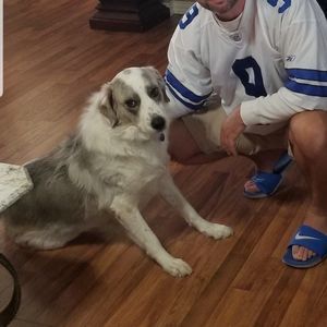 Meet your Posher, Thomas